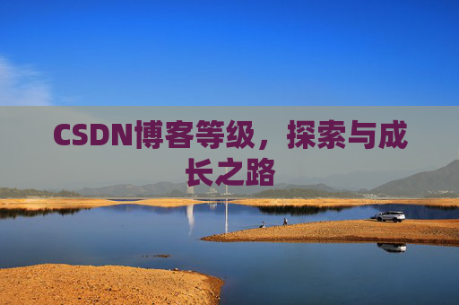 CSDN博客等级,探索与成长之路